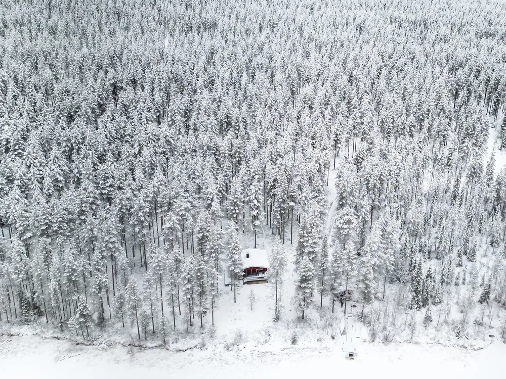 Snow-covered forest surrounding a remote wilderness cottage