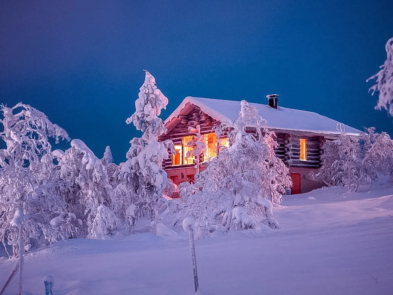 Uuvana lit from within at dusk, among snow-laden spruce