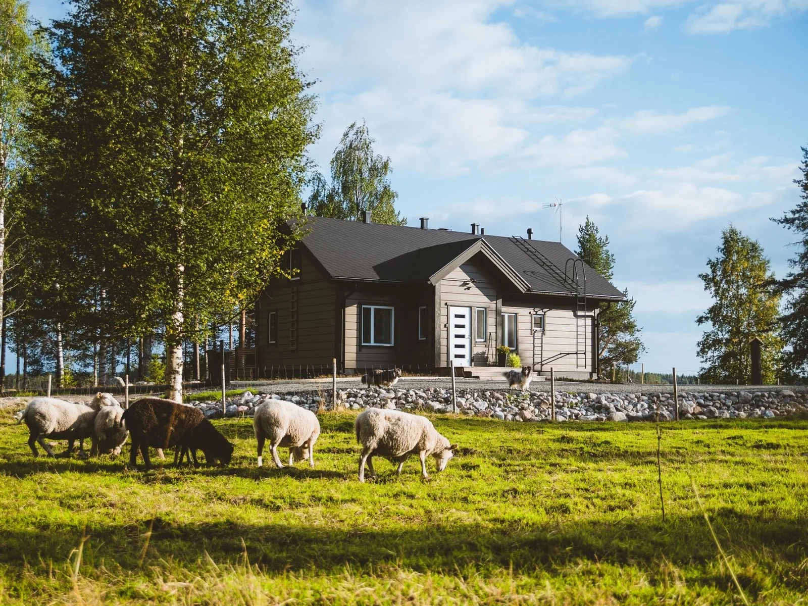 Exterior of Villa lystikämä in Rovaniemi