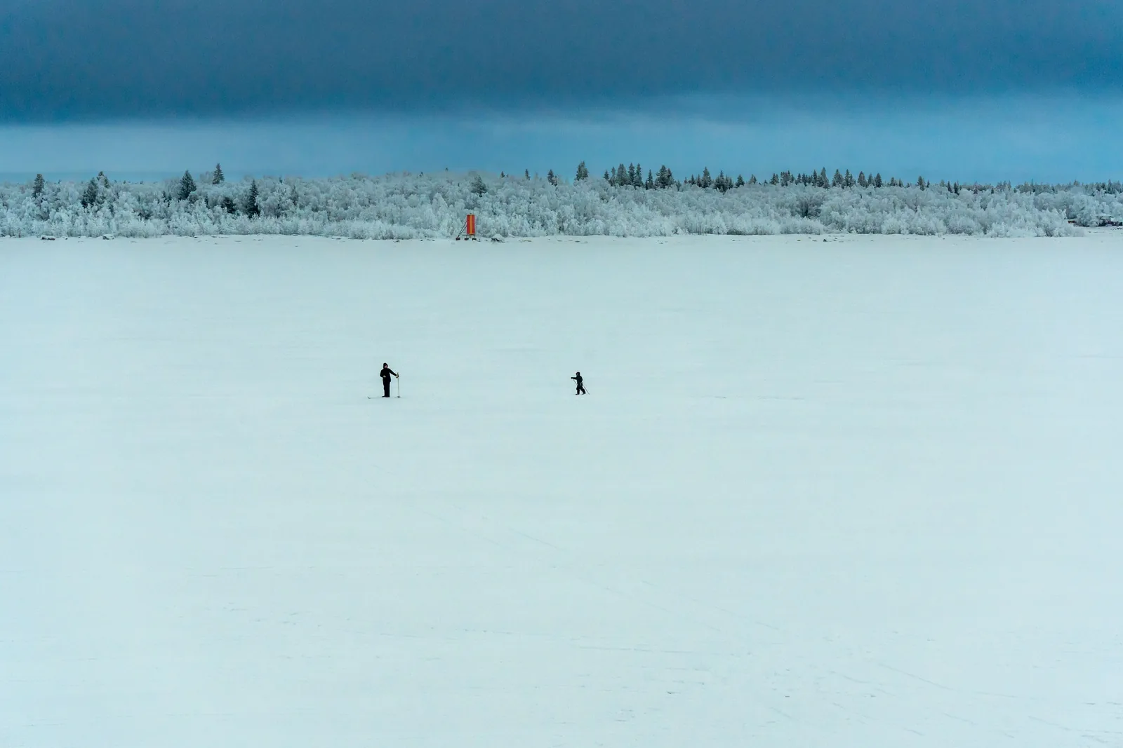 Two small skiers crossing an empty frozen lake beneath rime-covered forest and a heavy blue-grey sky