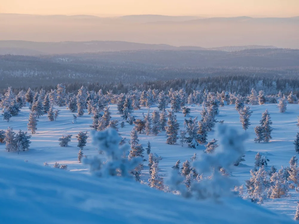 Frost-covered fells in low winter sunlight