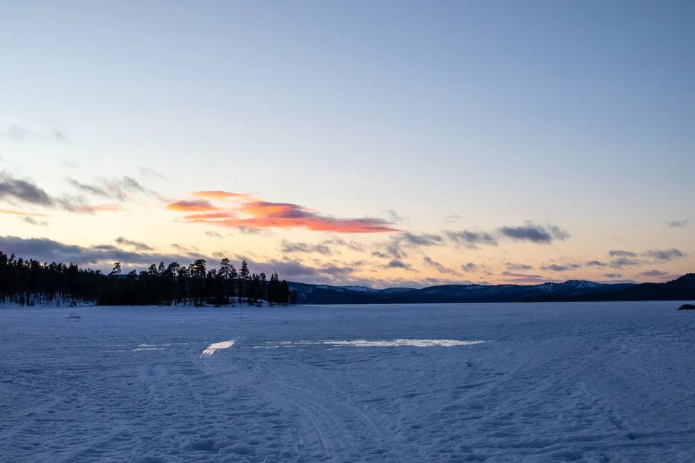 A frozen lake and forest at blue-hour dusk
