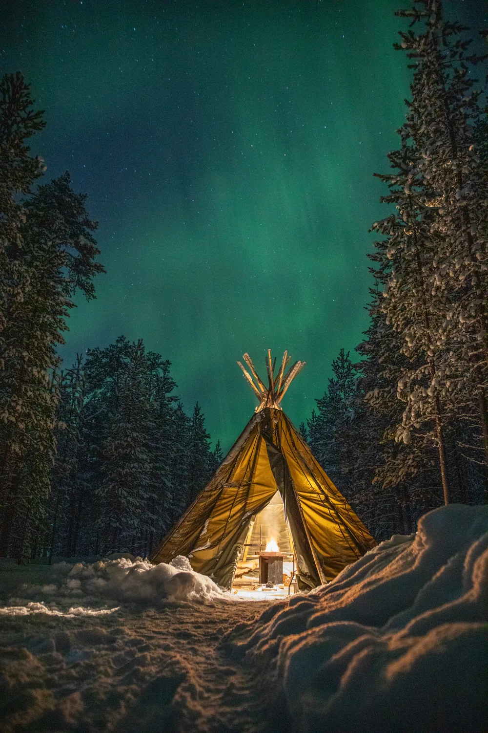 A lit canvas lavvu beneath the aurora in a snowy forest