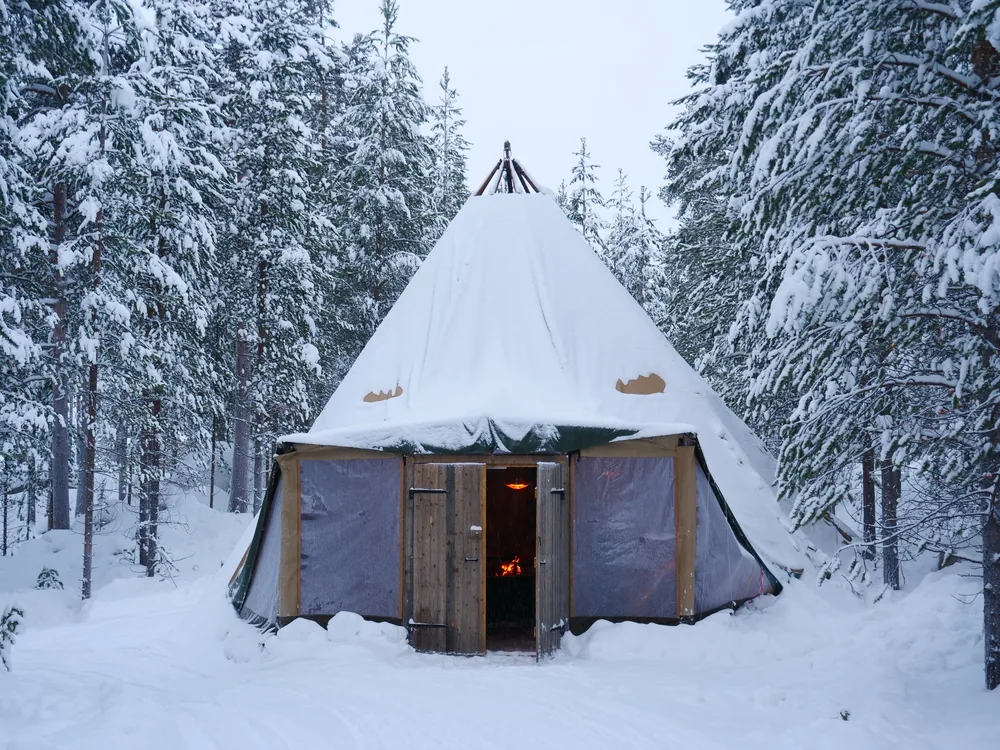 A canvas lavvu standing among snow-covered pines